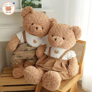 Gấu mây - Gấu bông Teddy mặc áo đáng yêu