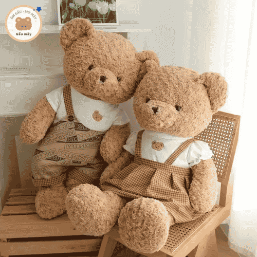 Gấu bông Teddy mặc áo