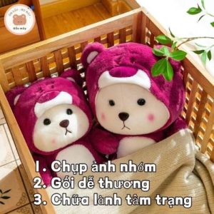 Gấu Bông teddy Dễ Thương