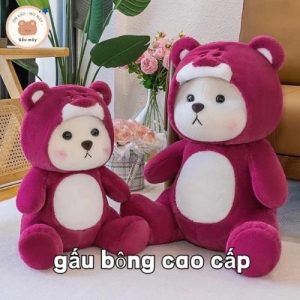 Gấu Bông teddy Dễ Thương